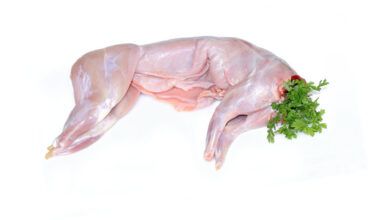 Conejo